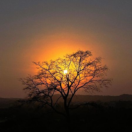 Gir Birding Lodge Sasan Gir Exteriör bild