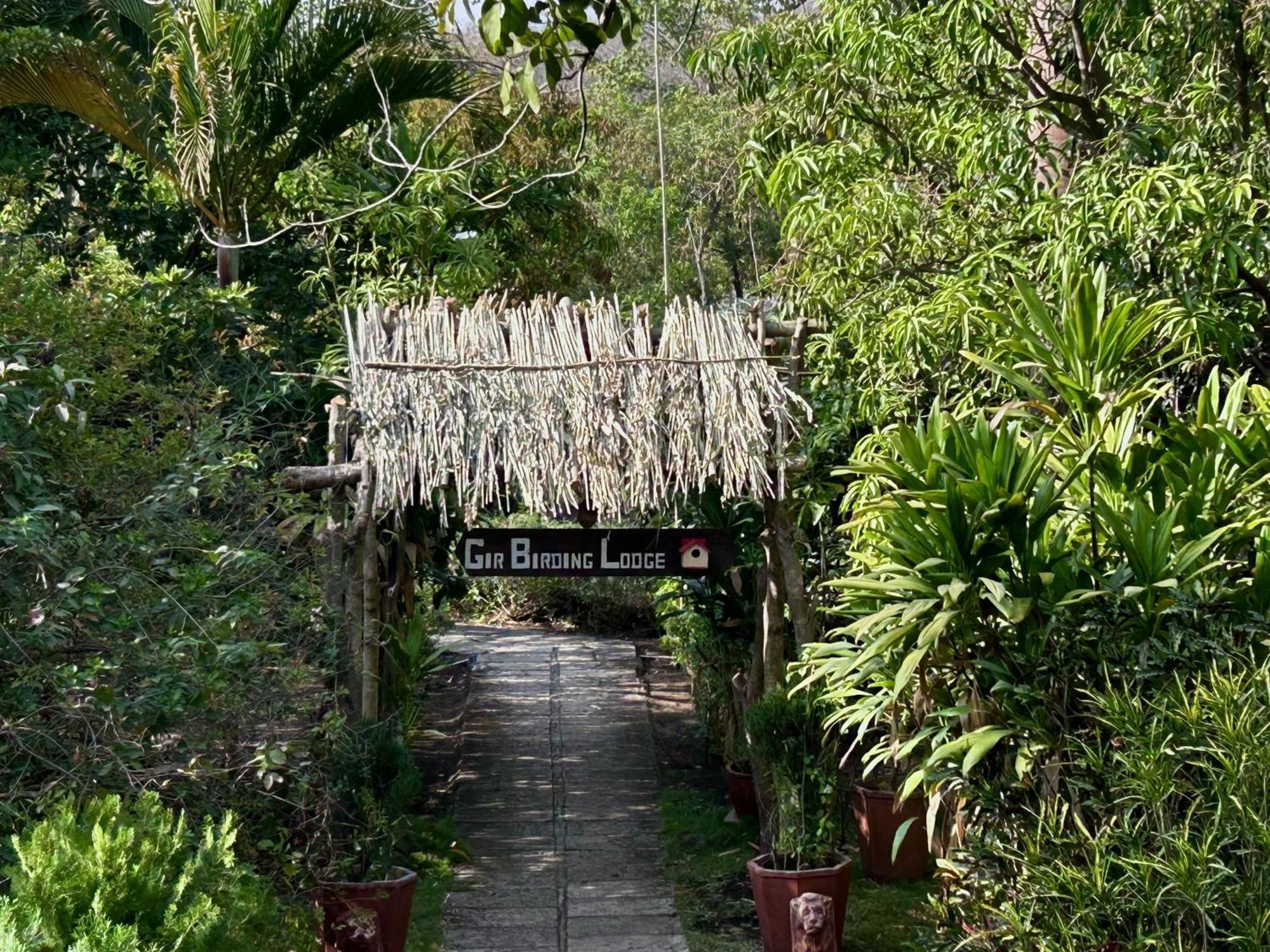 Gir Birding Lodge Sasan Gir Exteriör bild