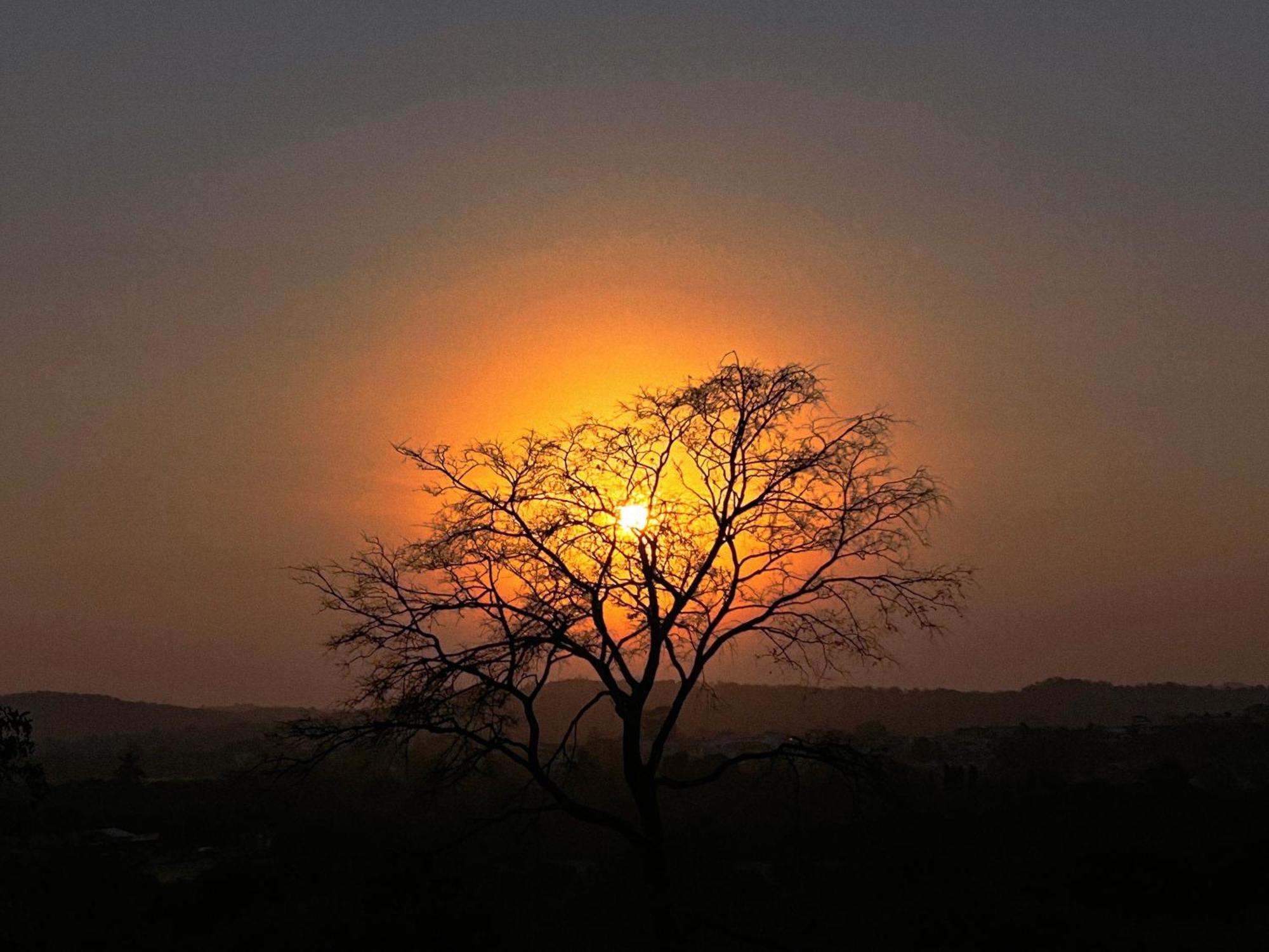 Gir Birding Lodge Sasan Gir Exteriör bild
